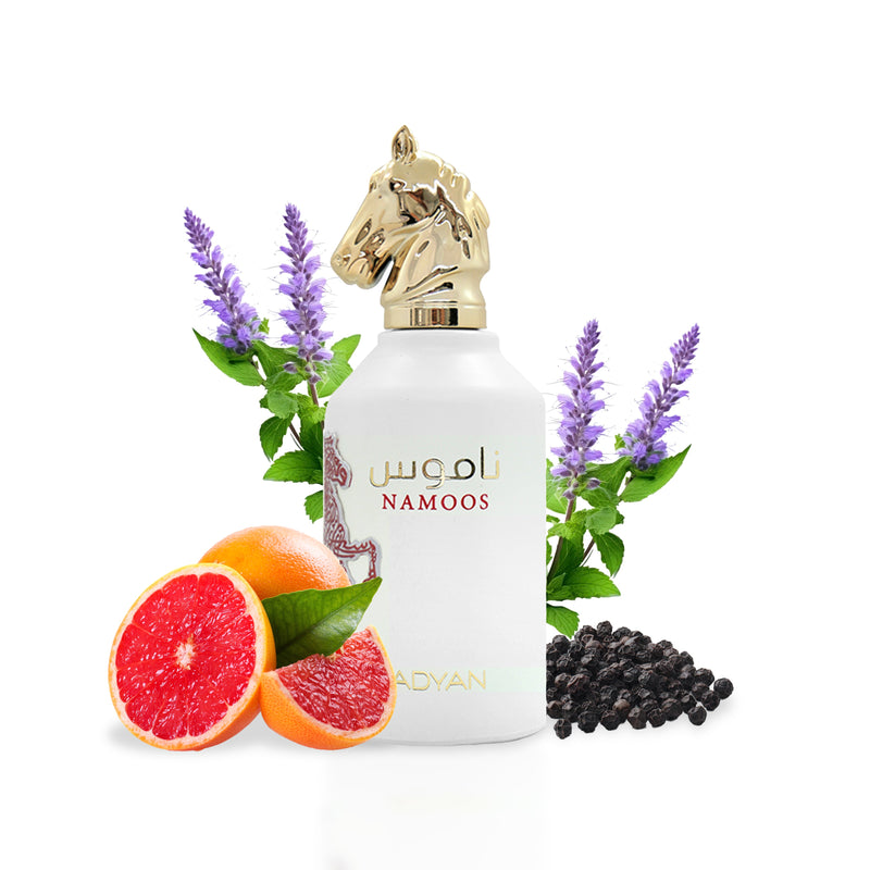 Namoos Eau de Parfum by Adyan – Oudh Al Anfar