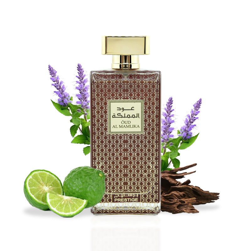 Oud Al Mamlika Eau de Parfum by Adyan – Oudh Al Anfar