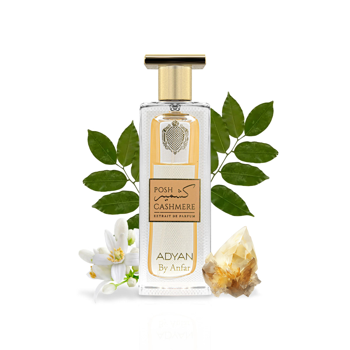 Posh Cashmere Eau de Parfum by Adyan – Oudh Al Anfar