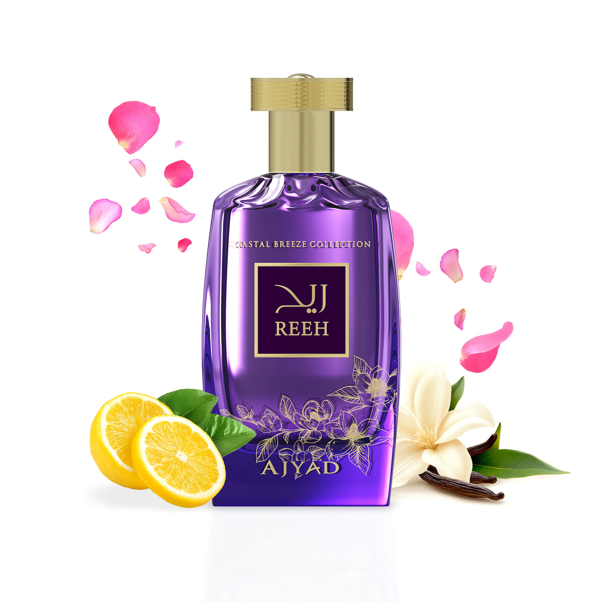 Reeh EDP 100ml – Oudh Al Anfar Perfumes