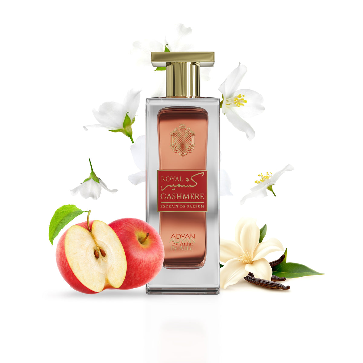Royal Cashmere Eau de Parfum by Adyan – Oudh Al Anfar