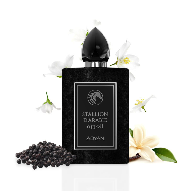 Stallion D'Arabie Eau de Parfum by Adyan – Oudh Al Anfar