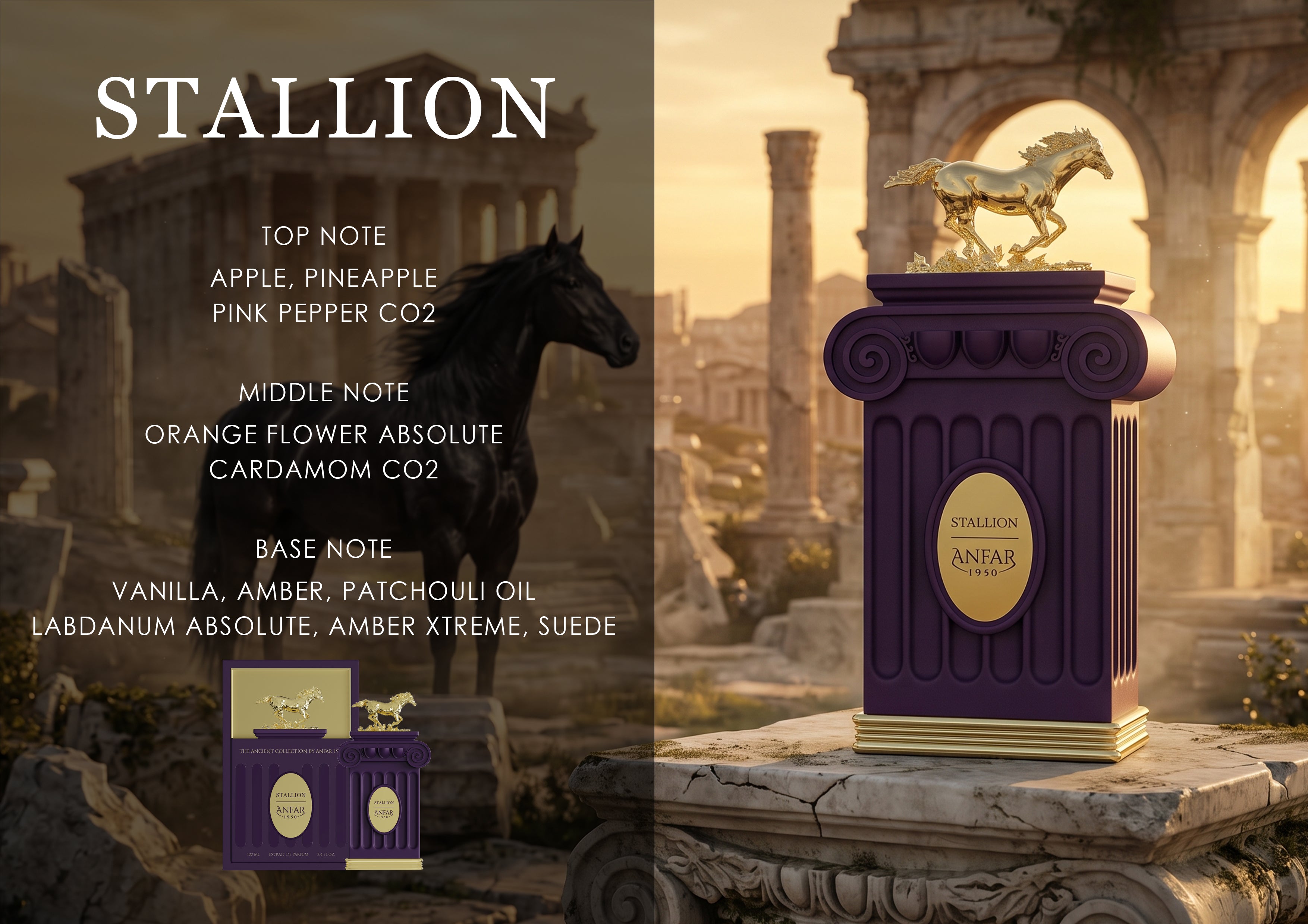 Anfar 1950 Stallion