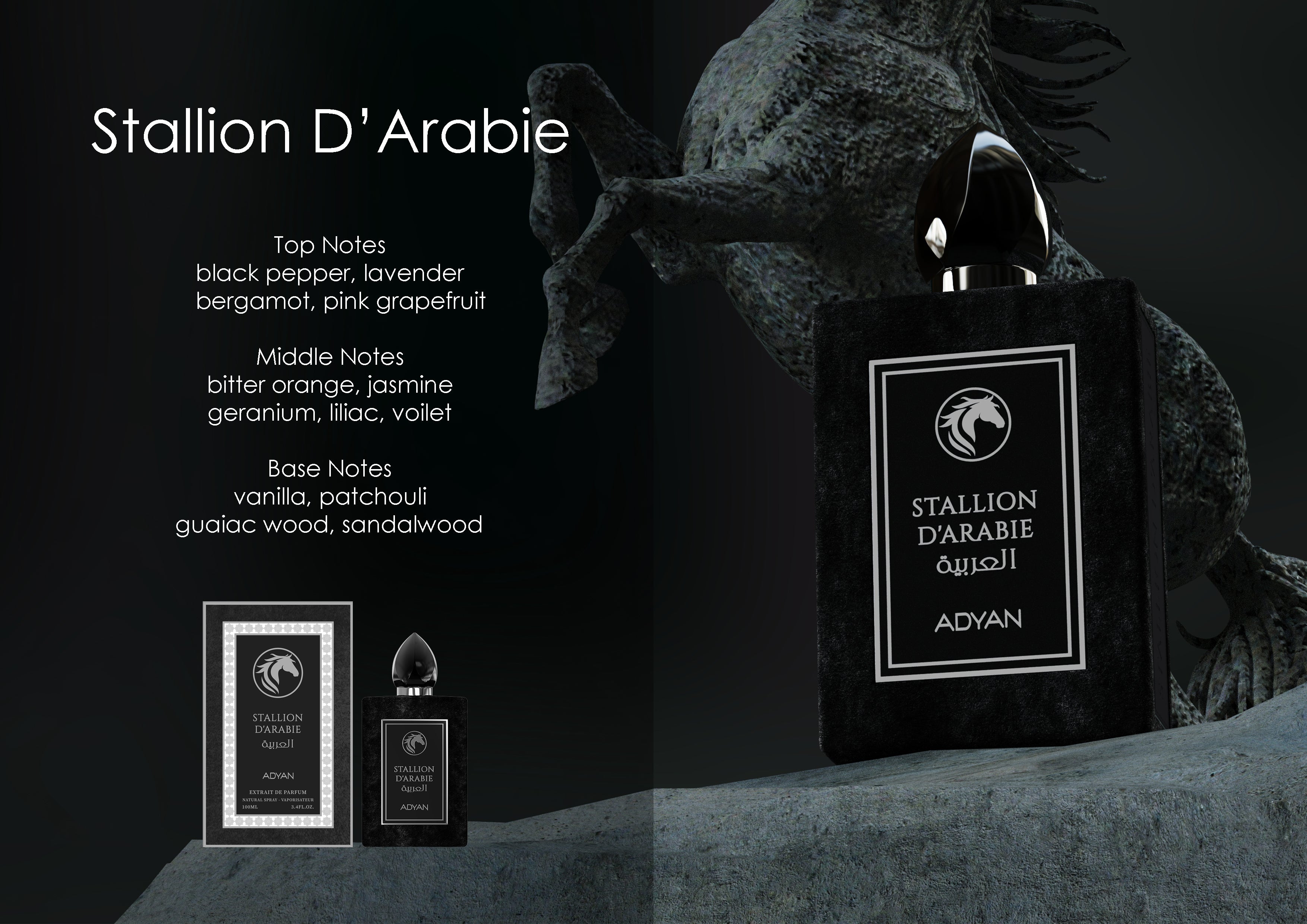 STALLION D’ARABIE BY ADYAN