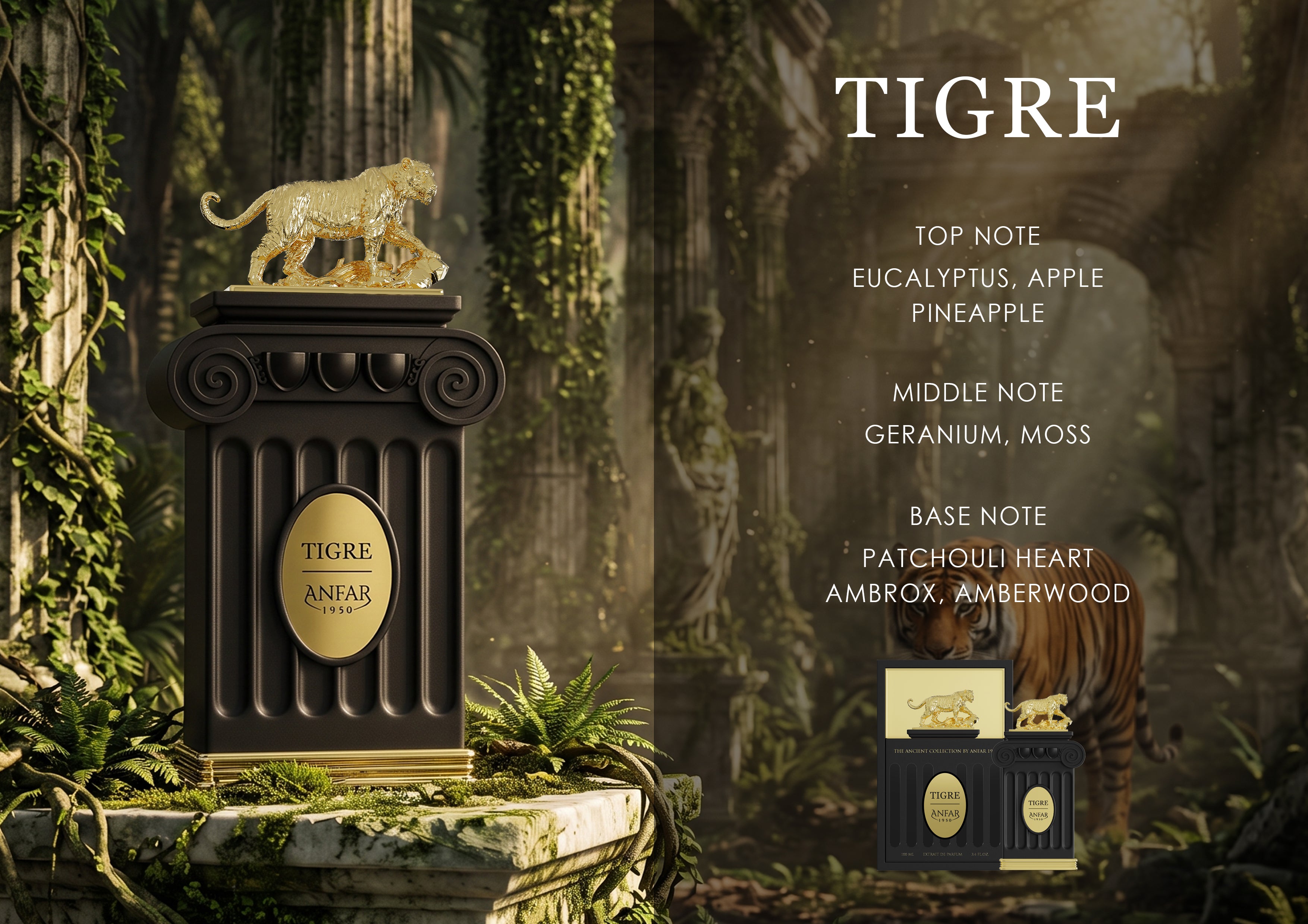 Anfar 1950 Tigre