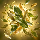 Bay Leaf