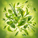 Green Notes